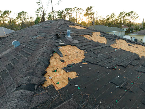 Best Roof Leak Repair  in Pittston, PA