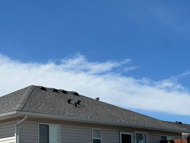 Best Roof Repair  in Pittston, PA